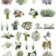 ClipArt spring flowers