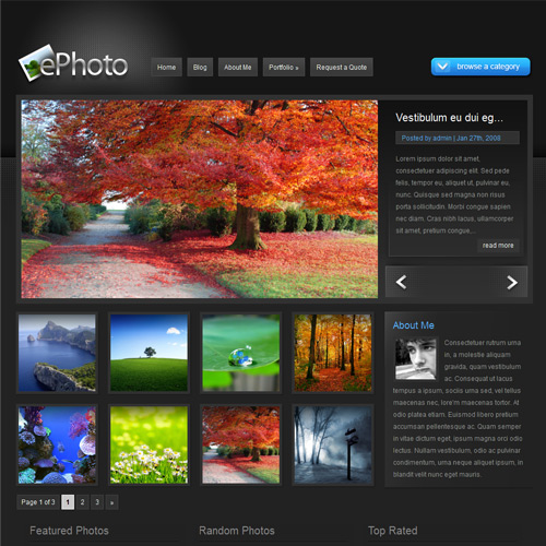 ePhoto – ElegantThemes Premium WordPress Theme