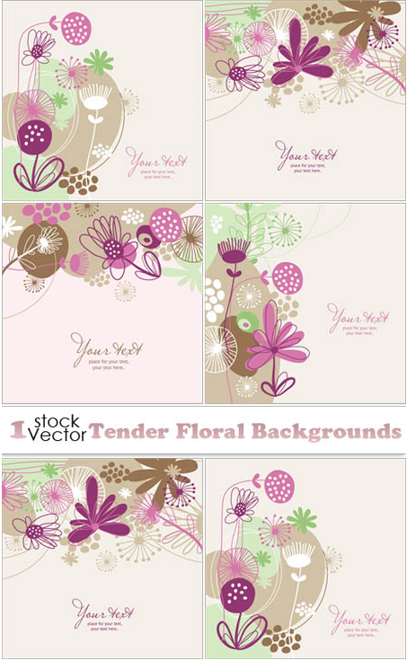 Tender Floral Backgrounds Vector