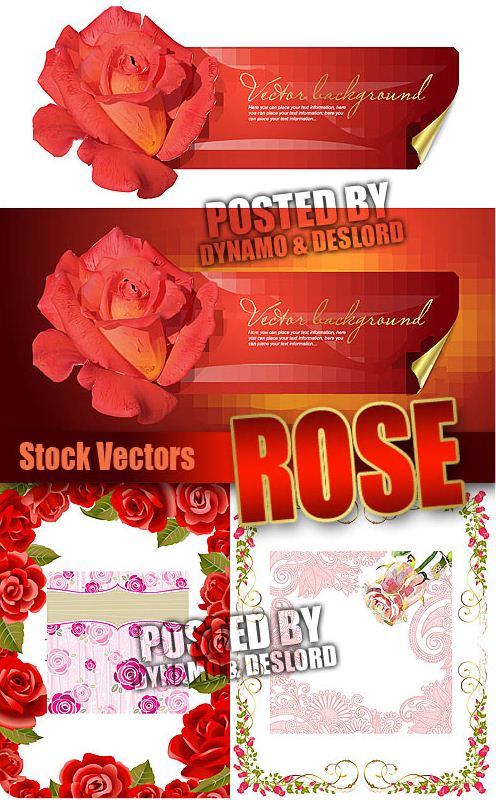 Rose – Stock Vectors