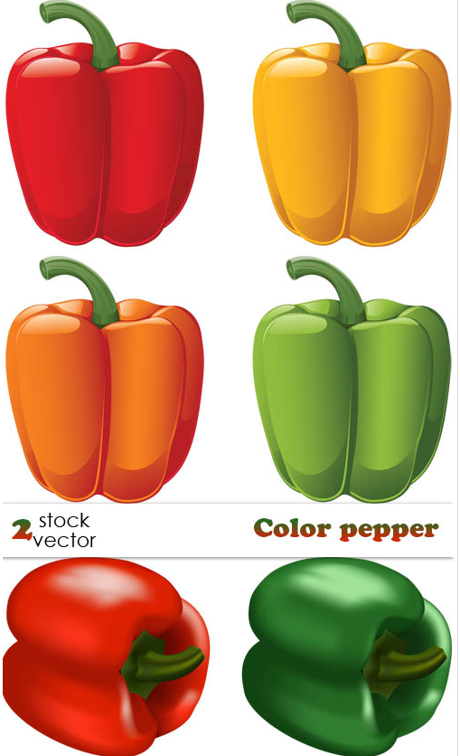 Vectors – Color pepper