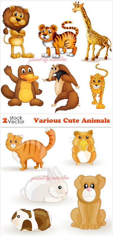 Vectors – Various Cute Animals