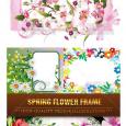 Vectores Flower Frame Marcos Florales