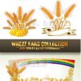 Vectores Wheat Trigo